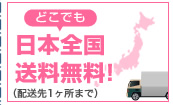 日本全国送料無料