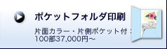 ポケットフォルダ印刷