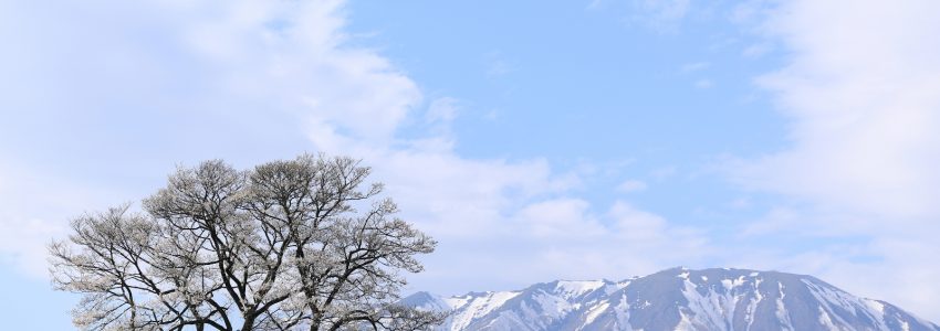 学校の思い出づくり